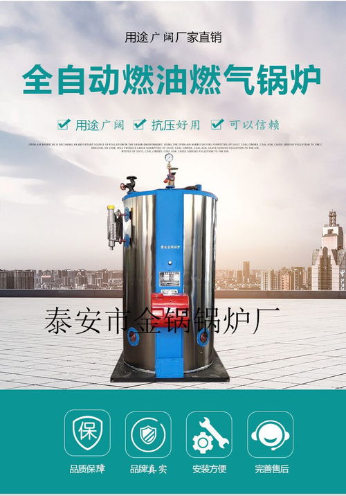 廠家直銷(xiāo)燃?xì)忮仩t 推動(dòng)高效節(jié)能蒸汽應(yīng)用新高度